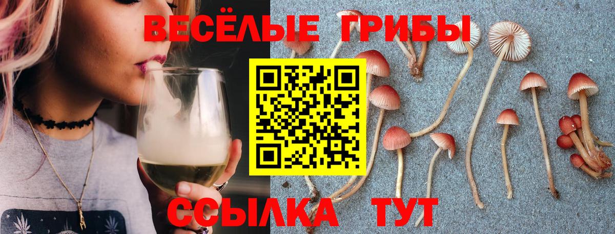 Псилоцибиновые грибы ЛСД Ижевск