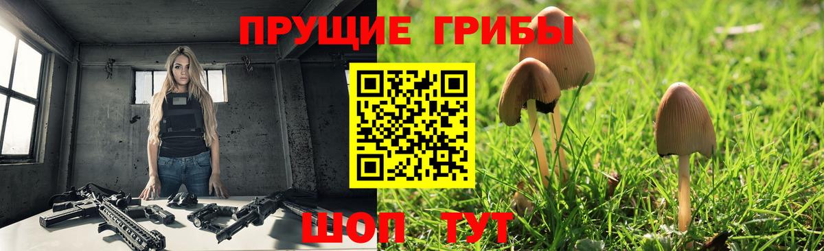 Ижевск  Галлюциногенные грибы Magic Shrooms  Вход с VPN 